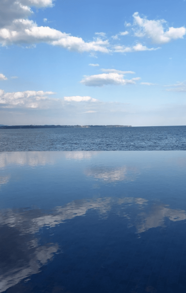 コーディネート